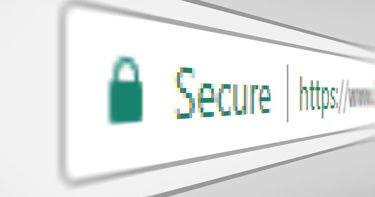 You can offer a secure ecommerce experience for your customers by using SSL.