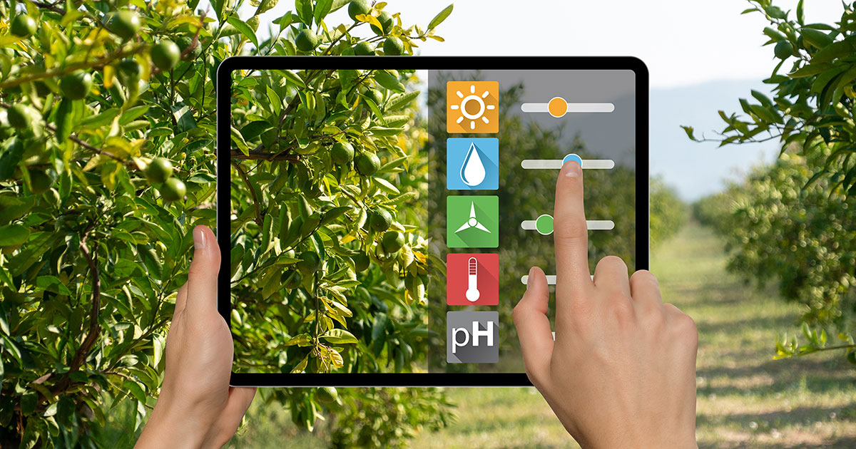 When it comes to your sprinklers, you can use smart technology to water your lawn