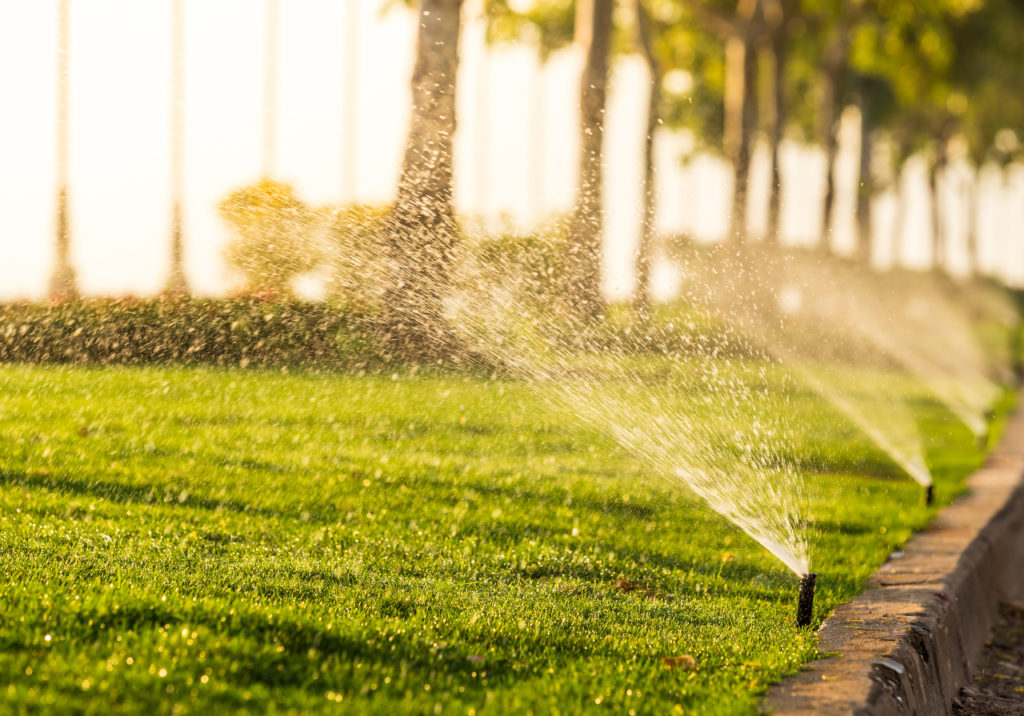 On a smart device, you can schedule a sprinkler system